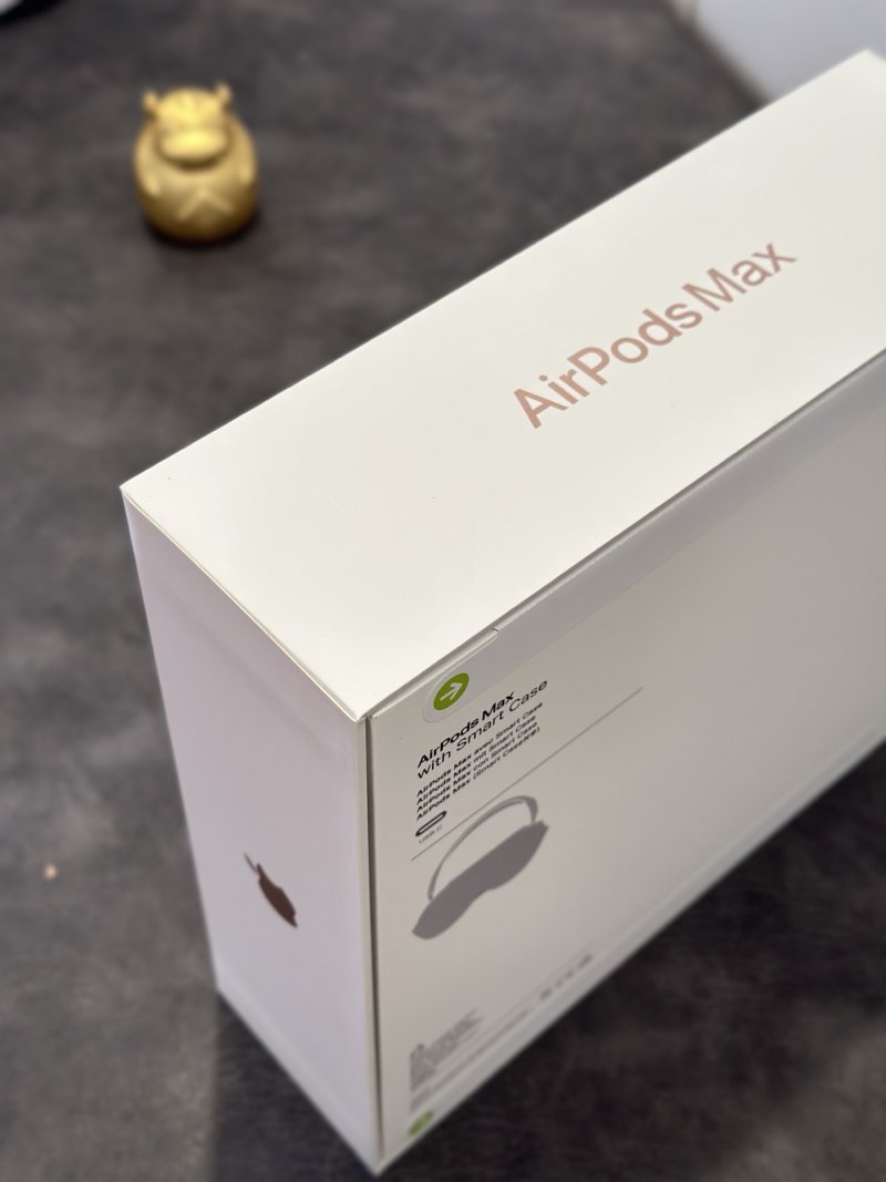 AirPods Pro Max Orange USB-C 1:1 Replica view