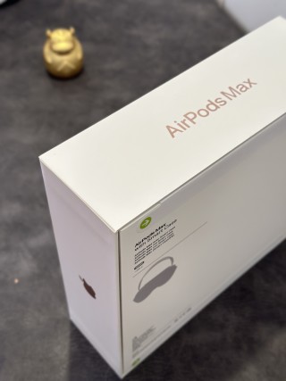 AirPods Pro Max Orange USB-C 1:1 Replica view 17