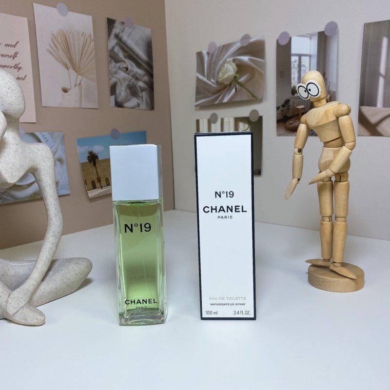 Chanel No. 19 EDT 100ml Women's Eau de Toilette