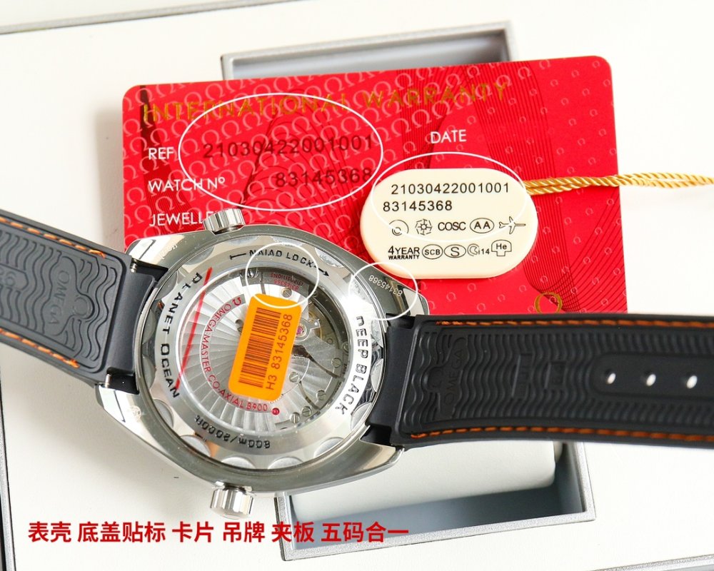 Omega Seamaster Planet Ocean 600M Dive Watch Black view