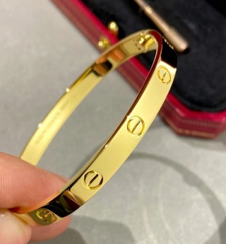 Cartier Love Bracelet Yellow Gold view 5