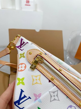 Louis Vuitton Multicolor Monogram Canvas Chest Bag view 5