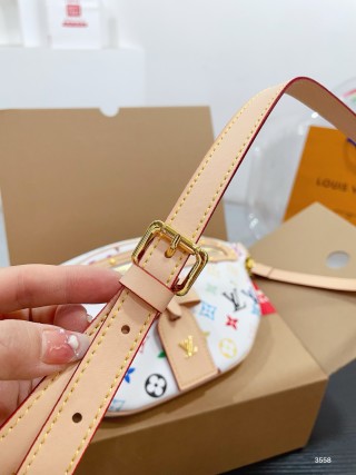 Louis Vuitton Multicolor Monogram Canvas Chest Bag view 7