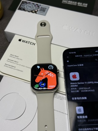 Apple Watch Series 11 Replica - 46mm Stainless Steel view 12