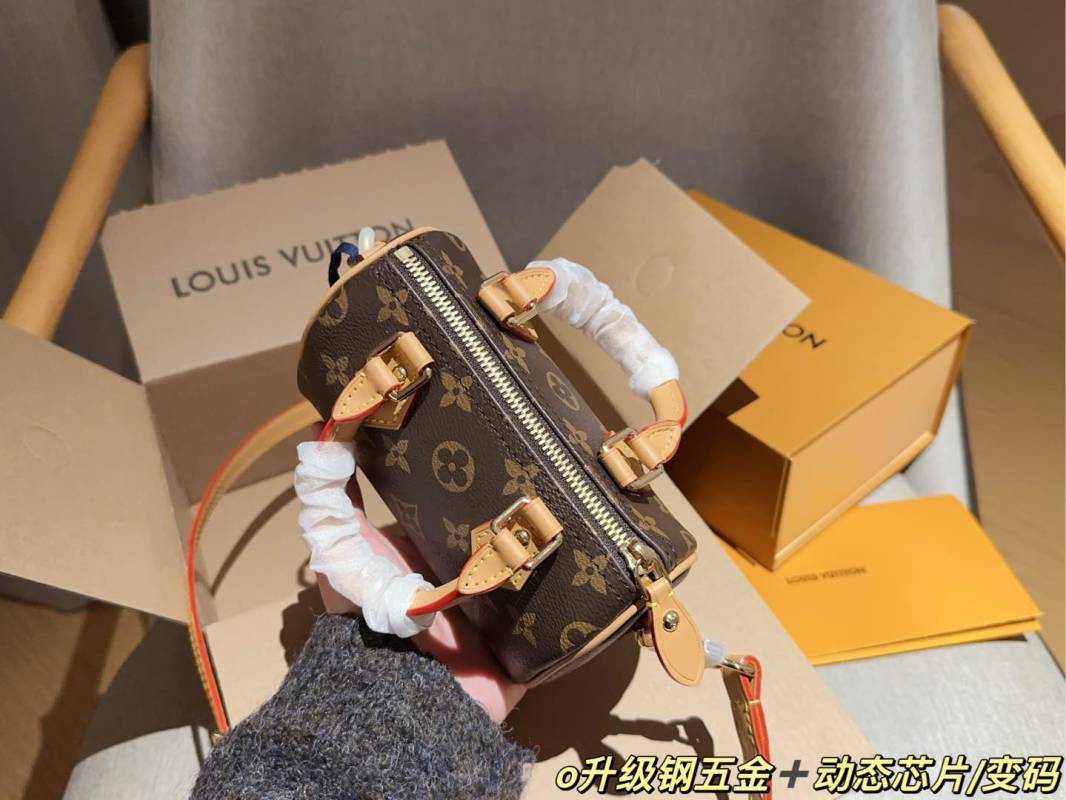 Louis Vuitton Speedy Nano 16 Pillow Bag Monogram view