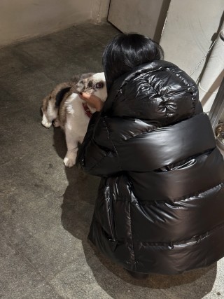 Black Puffer Down Jacket – Cropped Oversized Fit view 4