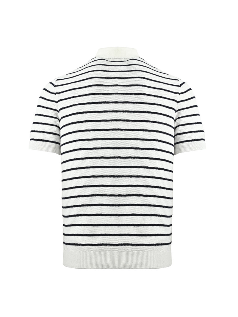 Striped Polo Shirt Navy & White view