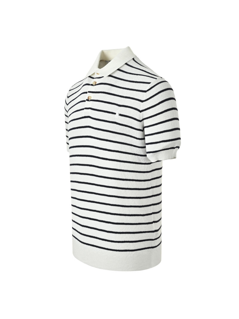 Striped Polo Shirt Navy & White view