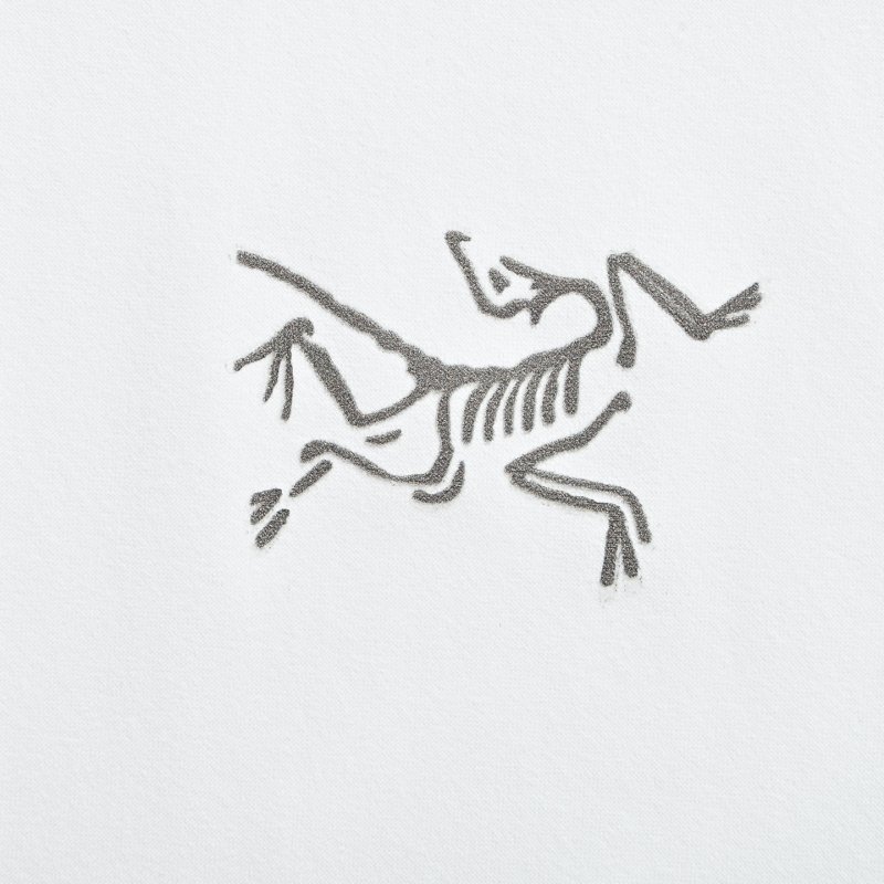 Arc'teryx White Short-Sleeve Polo Shirt view