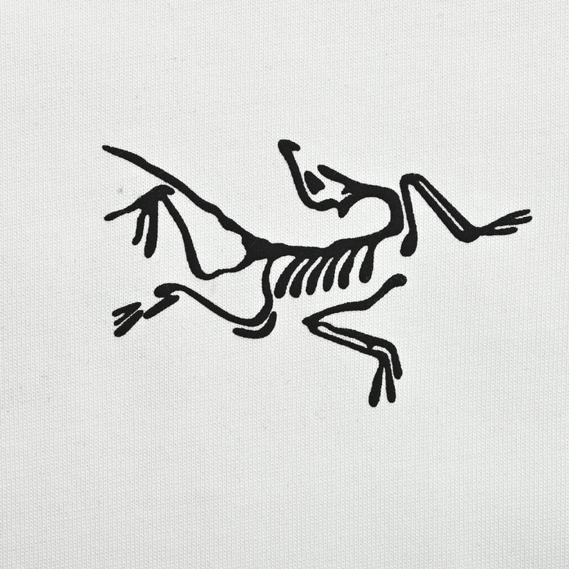 Arc'teryx White Graphic Print T-Shirt view