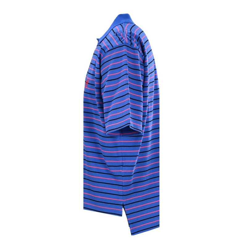 Blue Striped Short Sleeve Polo T-Shirt view