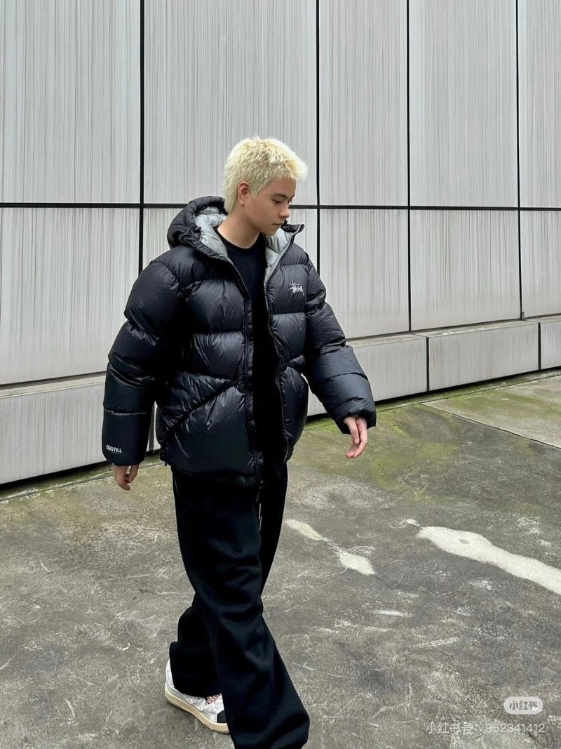 The North Face Black Puffer Down Jacket