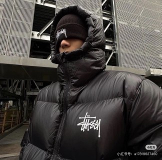 The North Face Black Puffer Down Jacket view 2