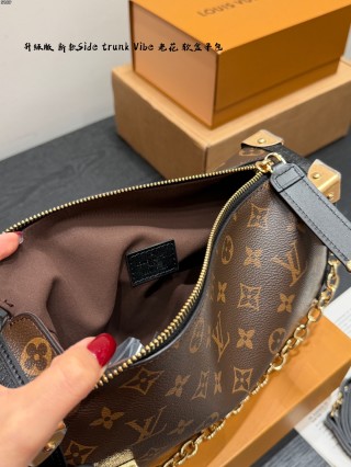 Louis Vuitton Side Trunk Vibe Monogram Shoulder Bag view 8