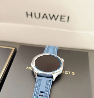 Samsung Galaxy Watch 5 Pro Silver Blue view 9