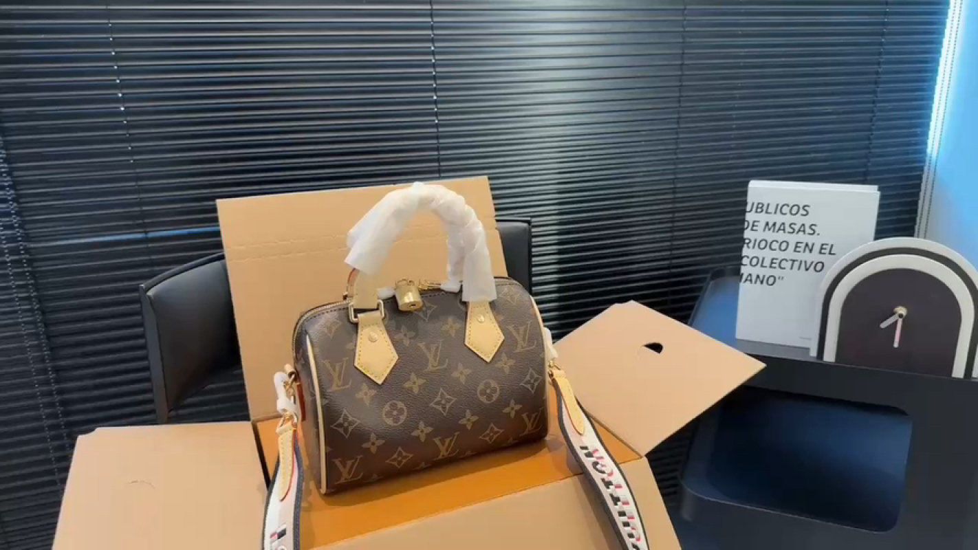 Louis Vuitton Monogram Speedy Handbag - Brown