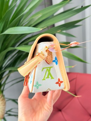 Louis Vuitton Multicolor Nano Diane Crossbody Bag view 5
