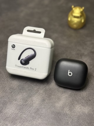 Beats Powerbeats Pro 2 Wireless Earphones Black view 1