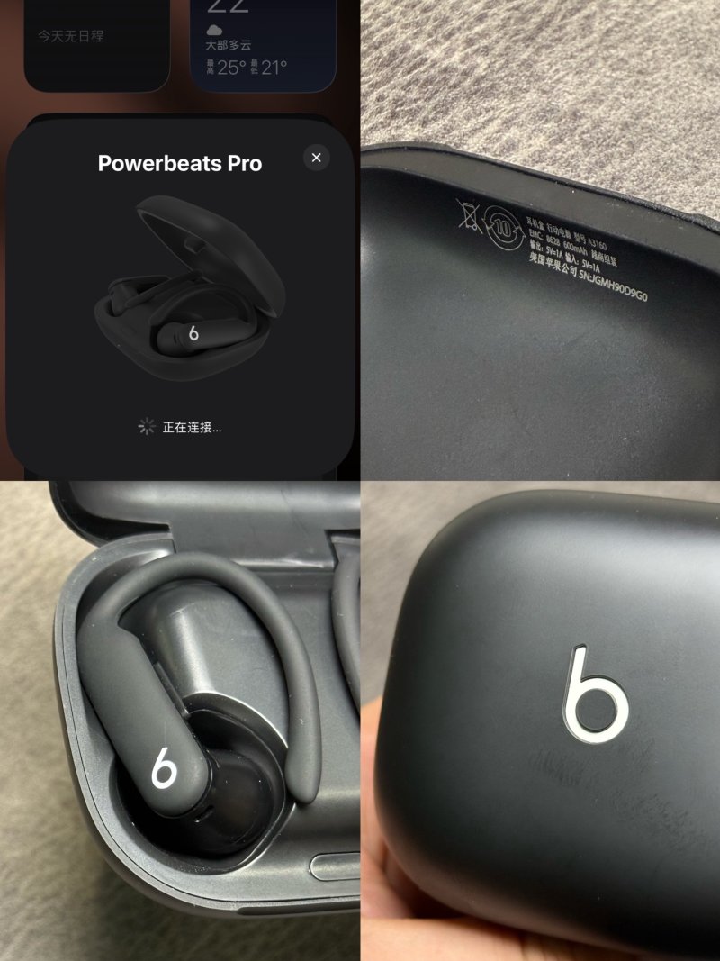 Beats Powerbeats Pro 2 Wireless Earphones Black view