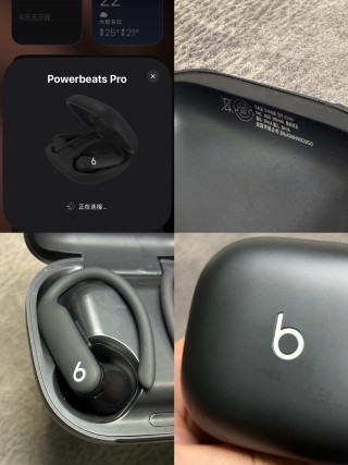 Beats Powerbeats Pro 2 Wireless Earphones Black view 14