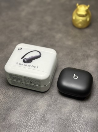 Beats Powerbeats Pro 2 Wireless Earphones Black view 2