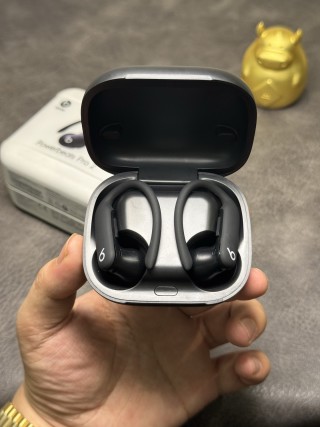 Beats Powerbeats Pro 2 Wireless Earphones Black view 8