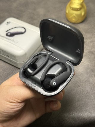 Beats Powerbeats Pro 2 Wireless Earphones Black view 9