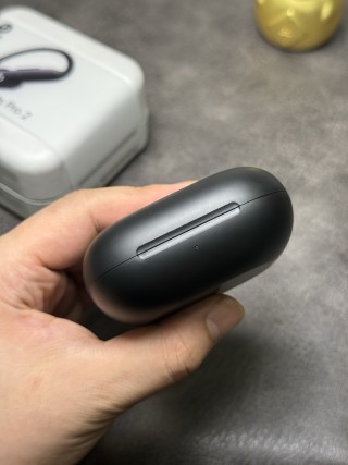 Beats Powerbeats Pro 2 Wireless Earphones Black view 10