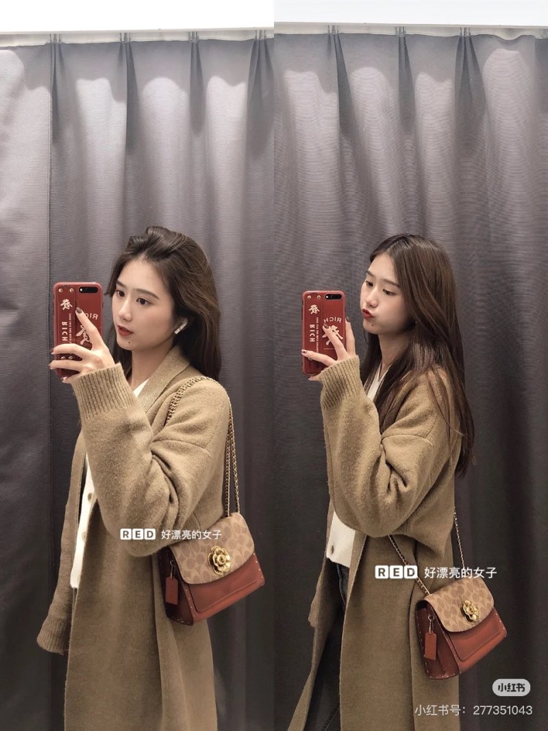 Beige & Cognac Two-Tone Shoulder Bag with Gold Hardware view