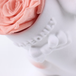 Roseonly Sweetheart Rabbit Eternal Rose Figure - White view 8