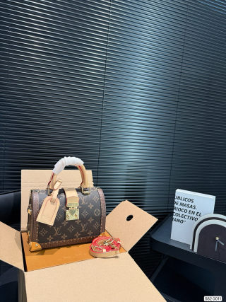 Louis Vuitton Speedy 25 Trunk Monogram Handbag view 1