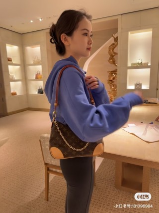Louis Vuitton Monogram Canvas Shoulder Bag - Brown & Tan view 5