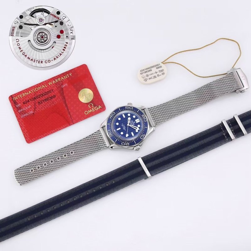 Omega Seamaster Diver 300M Blue Dial Steel Watch