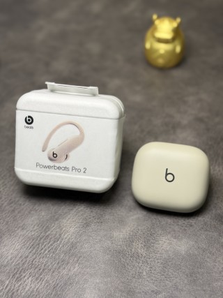 Beats Powerbeats Pro 2 Wireless Earphones – White