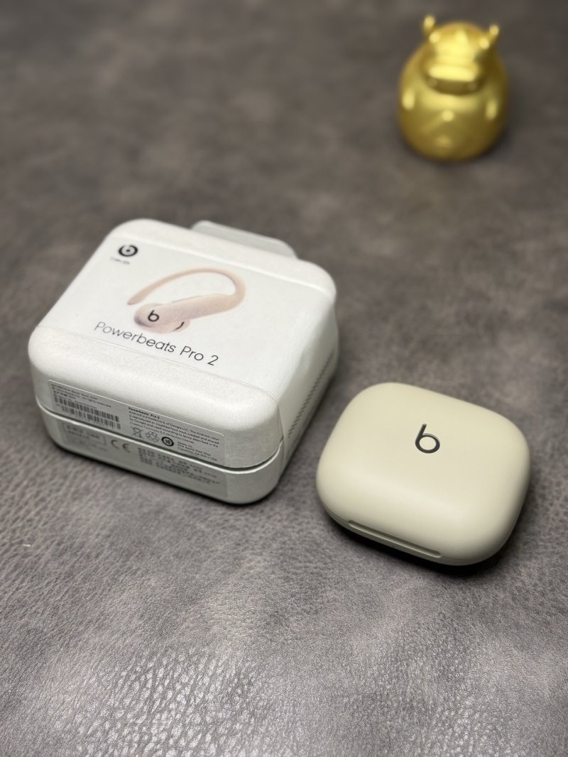 Beats Powerbeats Pro 2 Wireless Earphones – White view