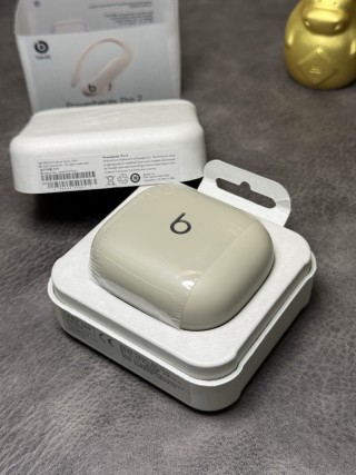 Beats Powerbeats Pro 2 Wireless Earphones – White view 12