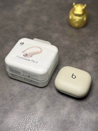 Beats Powerbeats Pro 2 Wireless Earphones – White view 2