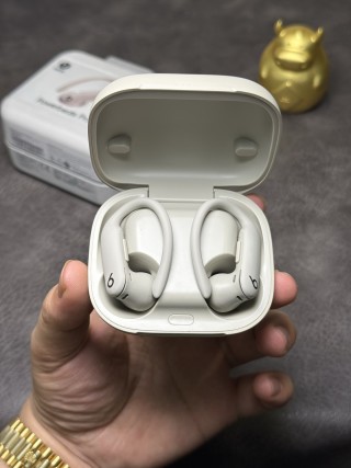 Beats Powerbeats Pro 2 Wireless Earphones – White view 8