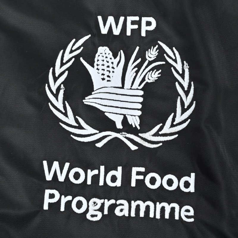 Balenciaga WFP Black Puffer Jacket view