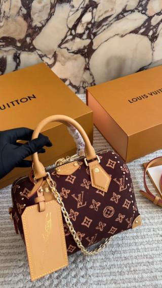 Louis Vuitton Speedy Monogram Canvas Burgundy Brown Handbag video