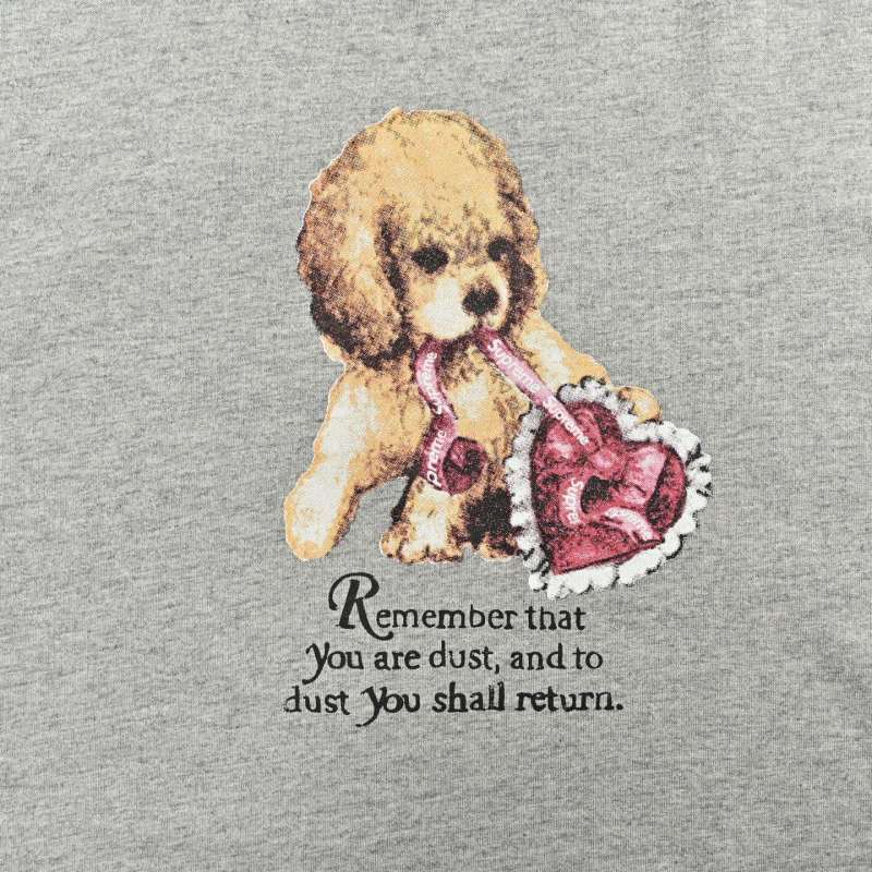 Teddy Bear Graphic Crop T-Shirt in Heather Gray view