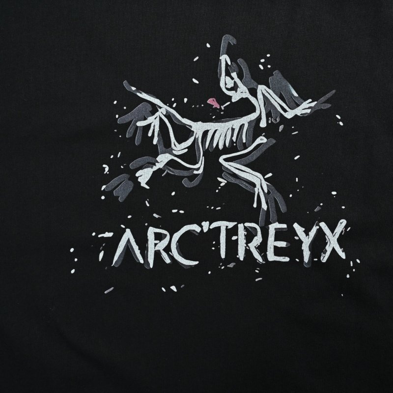 Arcteryx Black Graphic Logo T-Shirt view
