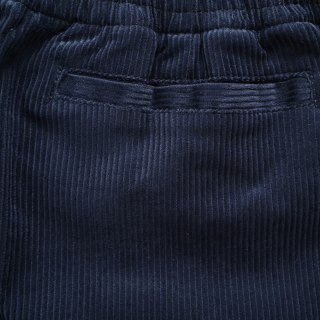 Polo Ralph Lauren Navy Corduroy Shorts view 15