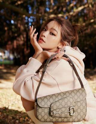 Gucci GG Canvas Shoulder Bag Beige
