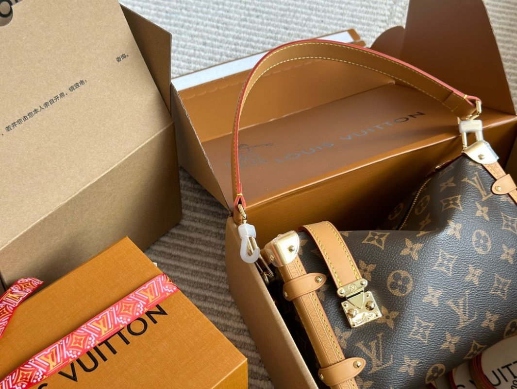 Louis Vuitton Trunk Monogram Canvas Shoulder Bag Brown view
