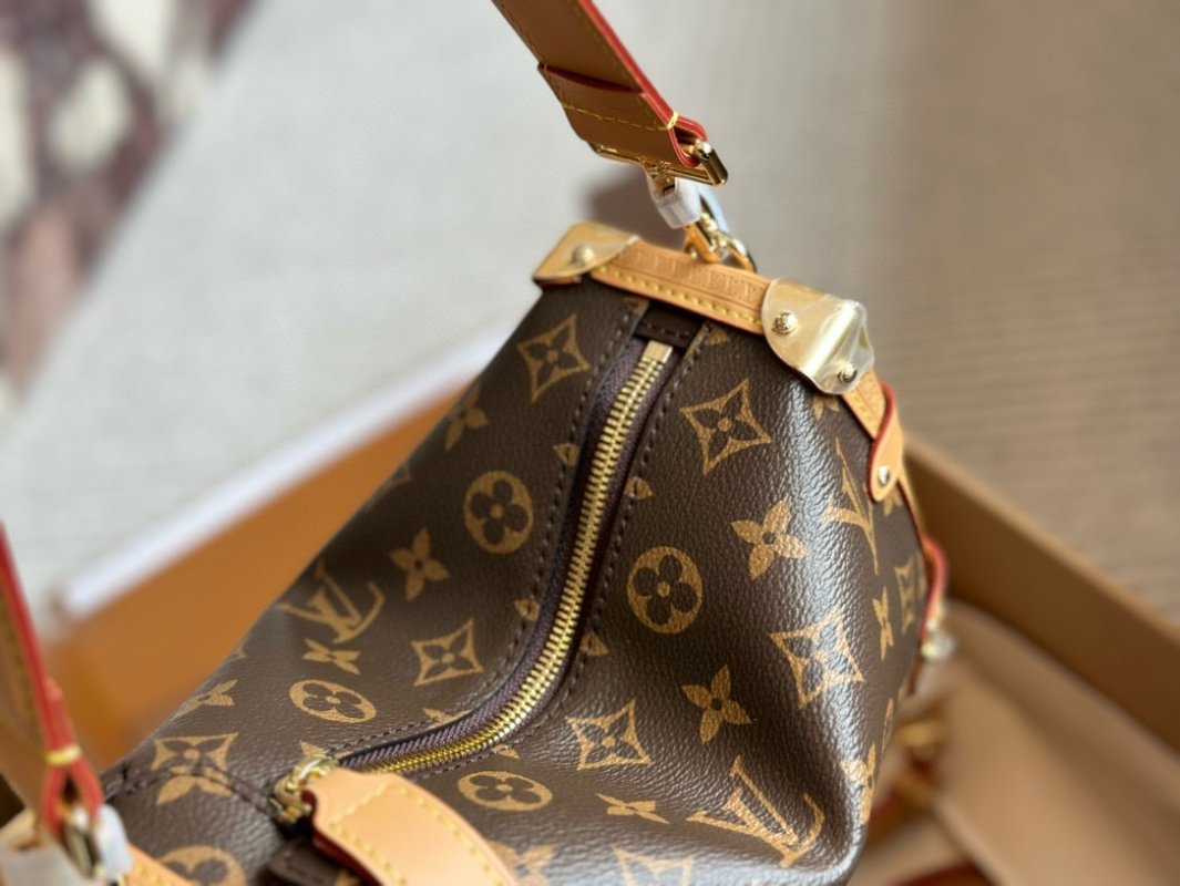 Louis Vuitton Trunk Monogram Canvas Shoulder Bag Brown view
