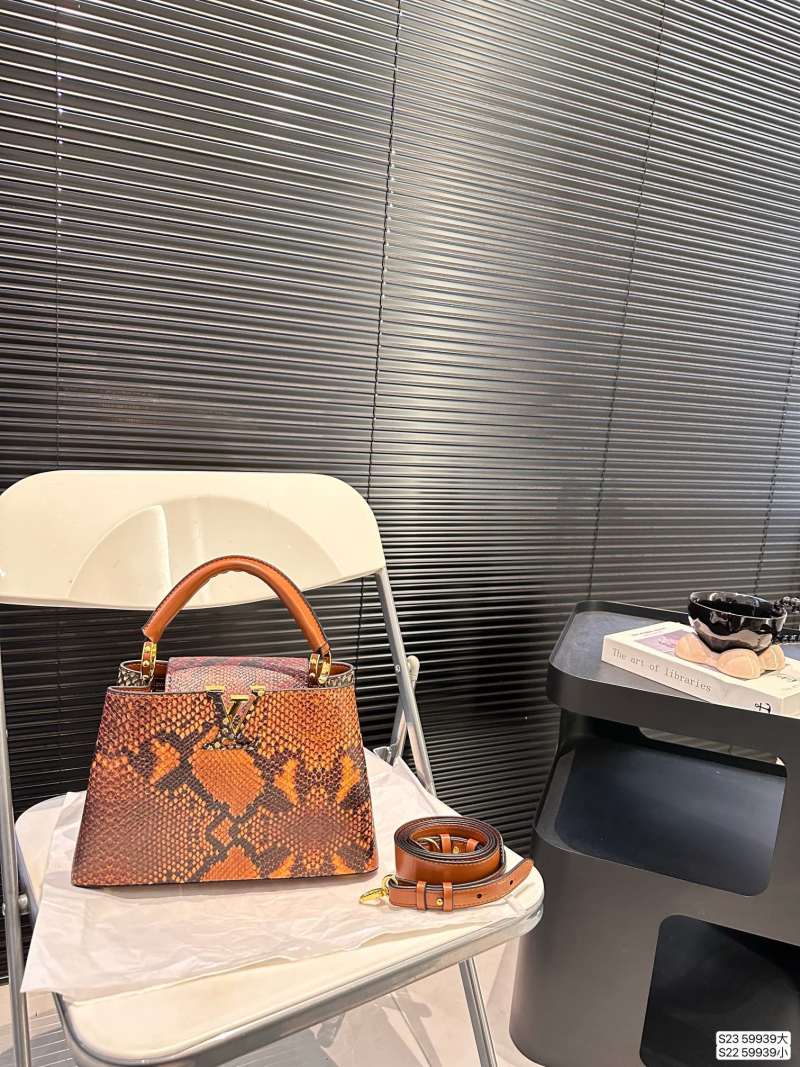 Louis Vuitton Capucines Python Orange Handbag 27cm view