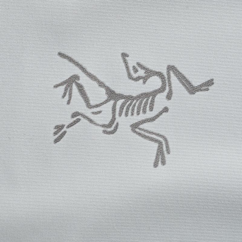 Arcteryx Grey Short Sleeve T-Shirt view