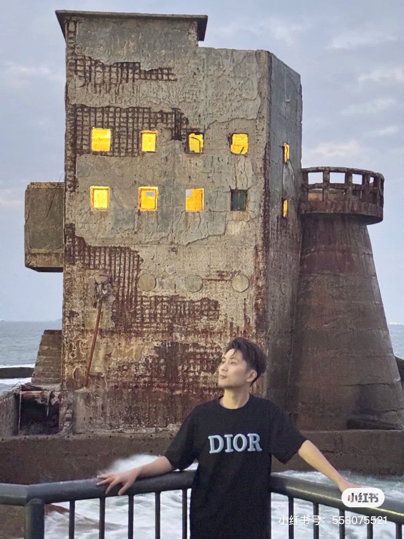 Dior Reversed Logo Black T-Shirt view