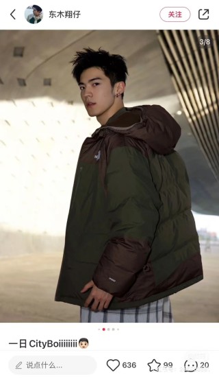 The North Face Brown & Olive Colorblock Down Puffer Jacket view 7